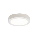 Freska Surface Downlight Cool White