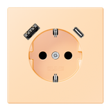 SCHUKO socket with USB charger LC32060 LC1520-15CA223