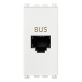 BUS RJ11phone jack white