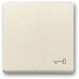 2520 TR-82 CoverPlates (partly incl. Insert) future®, solo®; carat®; Busch-dynasty® ivory white