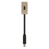 N2155.91 CV USB outlet USB Champagne - Zenit