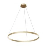 Modern Rim Pendant Lamp Brass