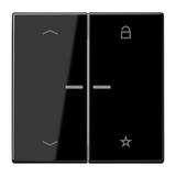 centre plate f. motor-contr. inserts