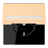 SCHUKO socket, with hinged lid, with ins LC1520BFNAKL223