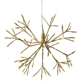 Outdoor Decoration Firework