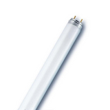 Fluorescent Tube 36W/30 T8