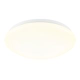 Karo II LED, 12W, 930lm, 3000K, IP44, 230V, 120ø