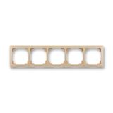 3901J-A00050 C3 Cover frame 5gang