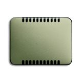 6541-260 CoverPlates (partly incl. Insert) carat® Palladium