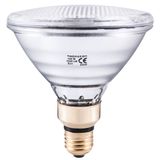 Halogen Lamp 120W E27 PAR38 115V 30° THORGEON