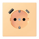 SCHUKO socket with USB charger LC4320P LC1520-15CA258