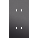 Twofold faceplate, vertical 71 mm centre distance, for double switch f