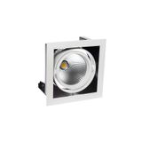 MODERN-DAY 1x1LED COB CITIZEN  40st 700mA 27W IP20 WW DOWNLIGHT