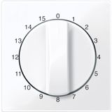 Central plate for time switch insert, 15 min, active white, glossy, System M