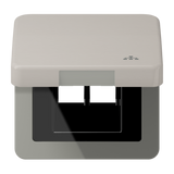 Hinged lid LAN with centre plate CD590KLLANPT