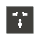 8539 NS Cover plate for Universal socket outlet - Soft Black Socket outlet Central cover plate Black - Sky Niessen