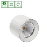 CEL ZOSMA 3 ROUND 930 19W 230V 40DEG WHITE CASAMBI