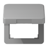 Centre plate with hinged lid CD590KLGR