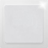 Blind cover E-Design55 for R1UE55, R2UE55, R3UE55 and R4UE55, pure white glossy