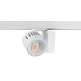 BEACON WW LED HO 3K L3 WHT