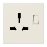 Combo switched socket insert LS4171GISW