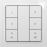 Wireless 6-way pushbutton as keypad, laser engraved, in E-Design55, polar white mat