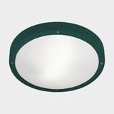 Ceiling fixture IP66 BASIC E27 E27 15;15W Fir green