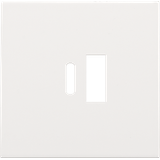 Finishing set for dual smart USB-A and USB-C charger, white coated