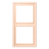 2-gang frame LC32091 LC982228