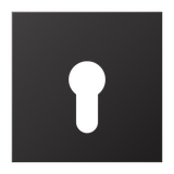 Centre plate f. key switch AL2925D