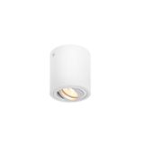 TRILEDO CL, indoor ceiling light, QPAR51, white, max 10W