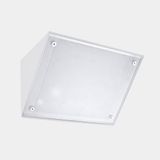 Wall fixture IP65 Curie PC Big E27 30 White 1530lm