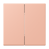 Friends of Hue radio transmitter LC32102 FOHLC995231