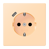 SCHUKO socket with USB type C LC32060 LC1520-18C223