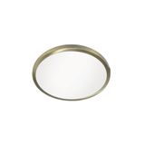 Kaju Recessed LED Downlight RD 16W Brass