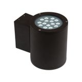 TORRE   15LED CREE 15deg 230V 15W IP44 CW wall-mounted