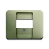 1766-260 CoverPlates (partly incl. Insert) carat® Palladium