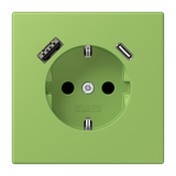 SCHUKO socket with USB charger LC32051 LC1520-15CA220