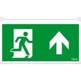 Exiway Smartled - 30m - ISO pictograms for Vetrosignal - 5 pictos