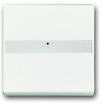 1764 NLI-884 CoverPlates (partly incl. Insert) future®, Busch-axcent®, carat® studio white matt