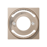 Cover plate for pilot light inserts A537BFPLCH