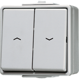 2-gang blind switch/push-button 10 AX 639VW