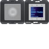 Radio Touch with Loudspeaker DAB+ K.x anthracite matt