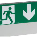 Label - for emergency lighting luminaires - exit door below - 127 x 254 mm