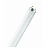 Fluorescent Tube MIX  36W/865 T8 MIX  ELG