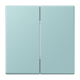 Friends of Hue radio transmitter LC32033 FOHLC995214