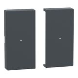 Rockers for button module 2-fold, anthracite, system M