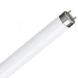 Fluorescent Tube  36W/830 120cm T8