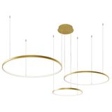 Suspended Light  Gold  Maximos