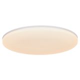 Vic 35 3200Lm 3000K | Ceiling light | White